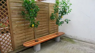 Cómo hacer un asiento de exterior con huecos para limoneros - Programa completo - Bricomanía