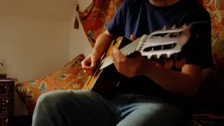 Secret Garden (Acoustic Guitar Loop Pedal Original)