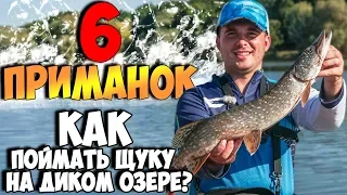 6 ПРИМАНОК! Как поймать ЩУКУ на диком ОЗЕРЕ!? Лучшие приманки на ЩУКУ! Часть 1!