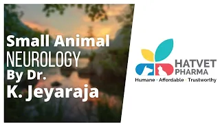 Hatvet`s Webinar On Small Animal Neurology By Dr. K Jeyaraja - Part 3
