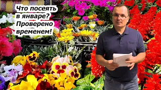 Что посеять в январе и стоит ли вообще начинать посевы на рассаду так рано?