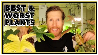BEST and WORST RARE Plants for Beginners