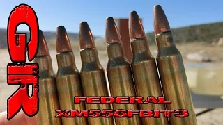 Best AR Ammo Pt 6 - Federal XM556FBIT3