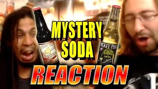 MAX REACTS: Chocolate Bacon Soda & More (Mystery Soda Taste Test)