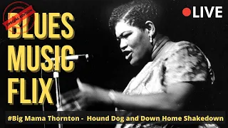 (1965) Big Mama Thornton - Hound Dog and Down Home Shakedown  | Best Blues Songs of All Time