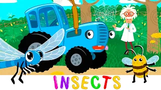 Insects and Bugs Kids Song - Blue Tractor Songs & Cartoons