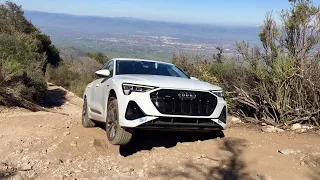 I Take My Audi e-tron On The Trails Pushing The Quattro Dual Motor System To The Limit!