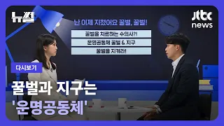 [다시보기] 뉴썰｜꿀벌이 멸종하면 인류도 멸종?…수의사에게 듣는 '꿀벌 실종사건' (23.6.24) / JTBC News