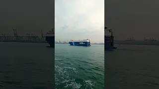 Procyon Leader || Car Carrier Ship Biggest #ship #carcarrier #biggest #largest #seaman #shorts