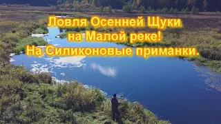 Ловля Осенней Щуки на Силиконовые приманки! На малой реке.