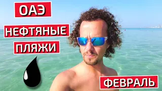 ОАЭ. Пляж в Шардже, купаемся в феврале на море.