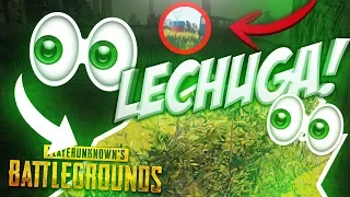 SOY INVISIBLE CON EL LECHUGA! PLAYERUNKNOWN'S BATTLEGROUNDS