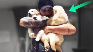 SIM...PEGAMOS MAIS UMA CACHORRINHA!!!