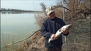 Рыбалка на реке Иртыш, на налима 2022 весна