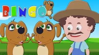 бинго собака  | дошкольные рифмы  | детская песня  | Baby Rhyme  | Russia Kids Song  | Bingo The Dog