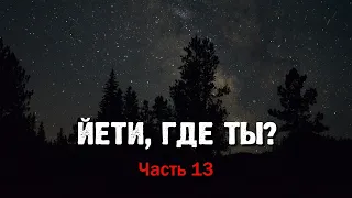 ЙЕТИ, ГДЕ ТЫ? Часть 13. Следы снежного человека...