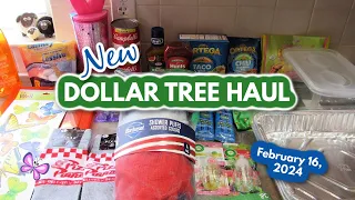 New DOLLAR TREE HAUL!  February 16, 2024