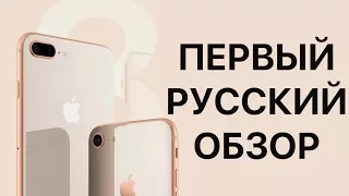 iPhone 8 и iPhone 8 Plus - первый обзор на русском