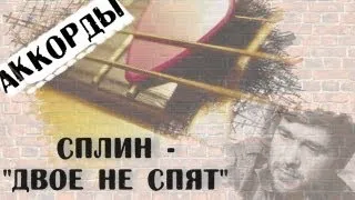 Сплин Двое не спят аккорды 🎸 кавер табы как играть на гитаре | pro-gitaru.ru