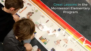 Great Lessons in the Montessori Elementary Program | Greenspring Montessori School