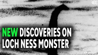 Is the Loch Ness monster really just an eel?