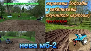 Однорядный окучник на коротком кронштейне.Сажаем картошку. Нева мб-2.Ровняем участок.