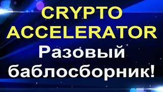 Crypto Accelerator – МММ только без шансов! CRYPTO ACCELERATOR - на каком моменте кинут?