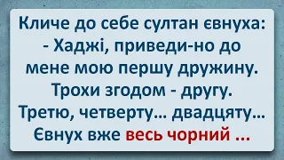 💠 Султан Покликав до Себе Євнуха! Українські Анекдоти! Анекдоти Українською! Епізод #275