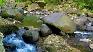 Beautiful Water River Sounds Peaceful Fall Into Deep Sleep for sleeping, studying, meditation