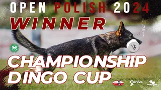 Open Polish Championship / Katarzyna Grzesiak-Kopec / Totti Albus Habitat / working-dog / Obedience