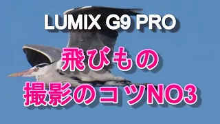 LUMIX G9 PRO 飛びもの撮影のコツ NO3（カメラの設定・撮り方など）