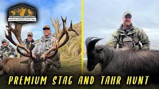 Pro Membership Sweepstakes for Premium Stag and Tahr Hunt in New Zealand!