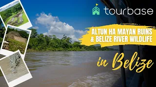 Belize Tourbase - Altun Ha Mayan Ruins & Belize River Wildlife Combo