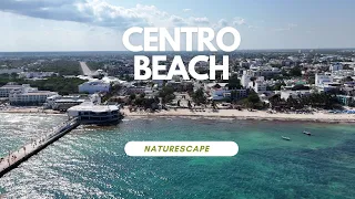 CENTRO BEACH - PLAYA DEL CARMEN [DRONE FOOTAGE]