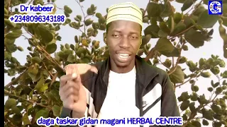 amfanin ya'yan KALGO ga mata da maza (dan akuri)