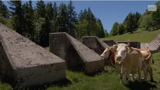 Balade bucolique au fil des  "Toblerones", vestiges de constructions militaires suisses