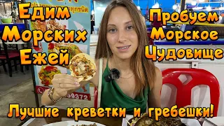 Рыбный рынок в Паттайе 2023. Рынок морепродуктов.Пробуем МОРСКИХ ЕЖЕЙ. Тайланд. Lan Po Nuklua Market