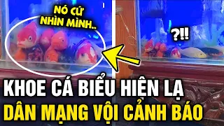 Đăng clip đàn cá koi 'HÀNH ĐỘNG LẠ', cô gái liền nhận được 'LỜI CẢNH BÁO' từ dân mạng | Tin 3 Phút