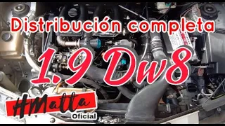 Motor Dw8.Distribución completa 1.9 PARTNER. HMatta Oficial