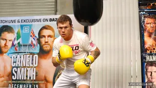 CANELO & EDDY SHOW HOW TO PERFECT YOUR DEFENSE, HEAD & WAIST MOVEMENT & HOW TO STICK & MOVE
