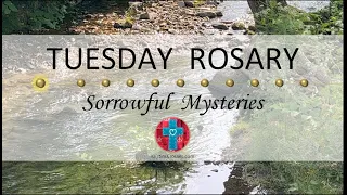 Tuesday Rosary • Sorrowful Mysteries of the Rosary 💜 January 9, 2024 VIRTUAL ROSARY - MEDITATION