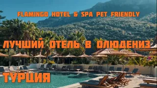 Flamingo Hotel & SPA Pet Friendly в Олюдениз, обзор отеля