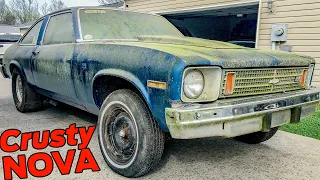 ABANDONED Nova Drag Car is Rescued and Cleaned Up