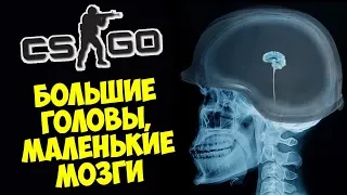 БОЛЬШИЕ ГОЛОВЫ, МАЛЕНЬКИЕ МОЗГИ 🧠 CS:GO Тролль Прятки (КС ГО Маньяк)