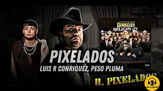 Luis R Conriquez, Peso Pluma - Pixelados (Visualizar)