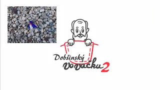 Pavol Dobšinský: Bračok vtáčok