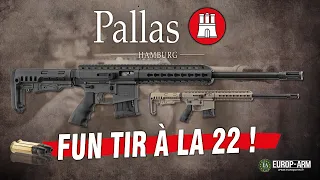 PALLAS BA-15 - Une 22 Lr semi auto type AR15 pour du tir fun - EUROP-ARM