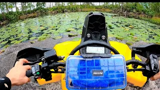 EXPLORING A POND AND FLOODED TRAILS