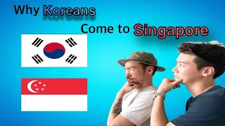 Why Koreans come to Singapore?