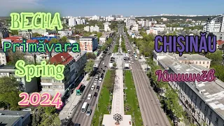 Весна приходит в Кишинёв | Primăvara vine la Chișinău | Spring comes to Chisinau